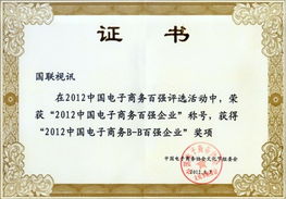 北京國(guó)聯(lián)視訊信息技術(shù)股份榮獲“2012中國(guó)電子商務(wù)百?gòu)?qiáng)企業(yè)”稱(chēng)號(hào)，引領(lǐng)企業(yè)信息技術(shù)咨詢(xún)服務(wù)新浪潮