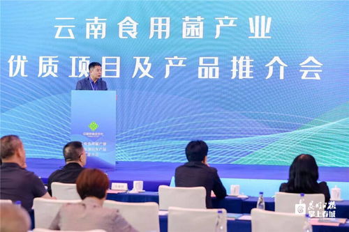 云南食用菌產業化合作新篇章 閩滇攜手助推數字農業與品質升級